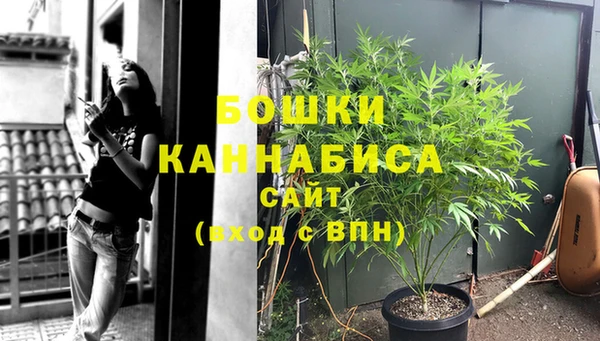 ешки Аркадак