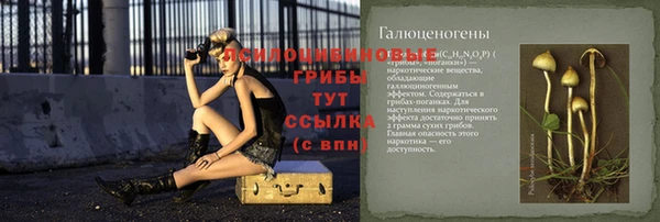 ешки Аркадак