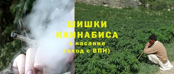 PSILOCYBIN Арсеньев