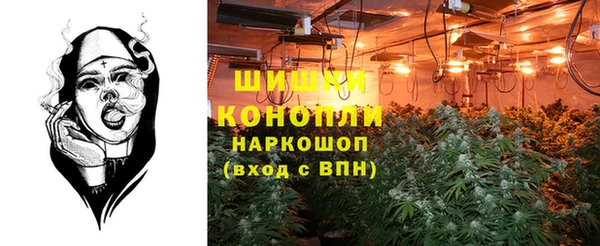 PSILOCYBIN Арсеньев