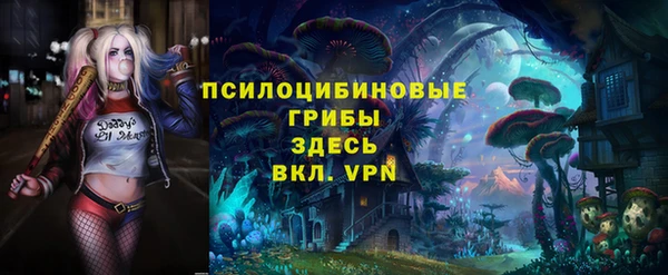 ешки Аркадак