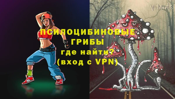 ешки Аркадак