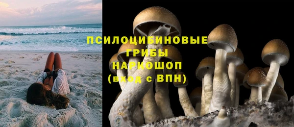 ешки Аркадак