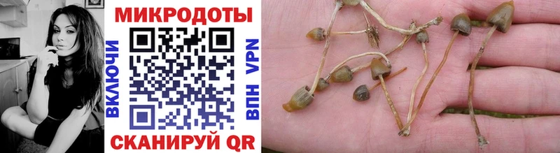 купить наркотик  Пущино  Галлюциногенные грибы мухоморы 
